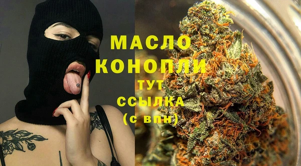 шишки Заволжье