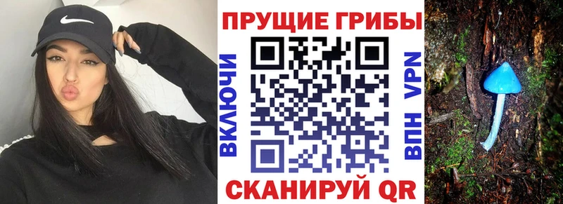 Псилоцибиновые грибы Psilocybe  Сольвычегодск 