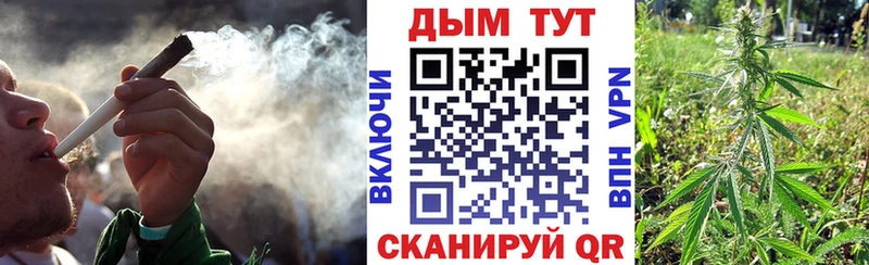 купить наркотики цена  Сольвычегодск  Шишки марихуана THC 21% 